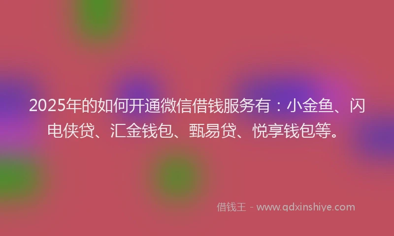 2025年的如何开通微信借钱服务有：小金鱼、闪电侠贷、汇金钱包、甄易贷、悦享钱包等。