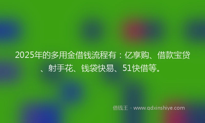 2025年的多用金借钱流程有：亿享购、借款宝贷、射手花、钱袋快易、51快借等。
