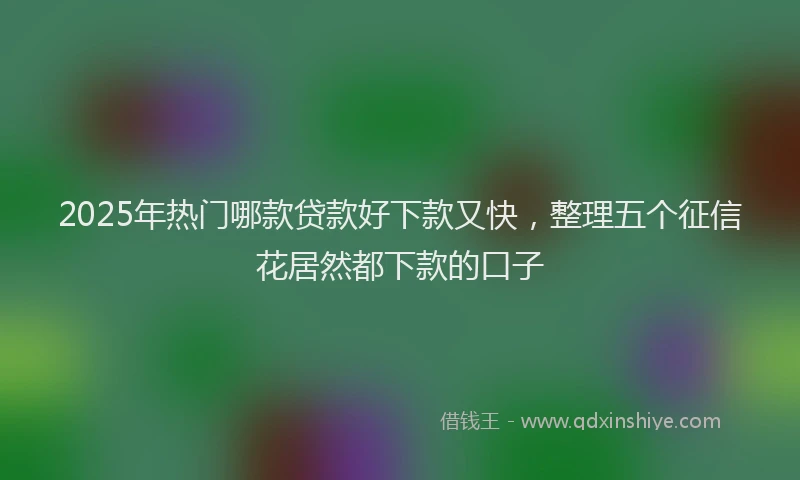 2025年热门哪款贷款好下款又快，整理五个征信花居然都下款的口子