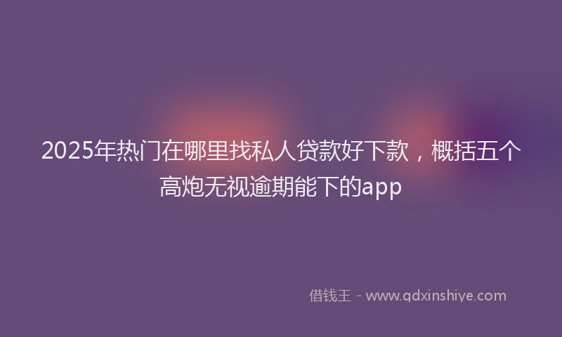 2025年热门在哪里找私人贷款好下款，概括五个高炮无视逾期能下的app