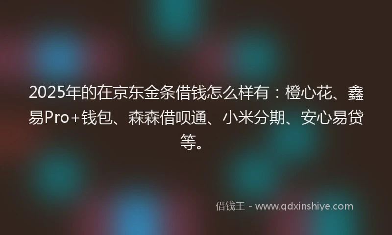 2025年的在京东金条借钱怎么样有：橙心花、鑫易Pro+钱包、森森借呗通、小米分期、安心易贷等。