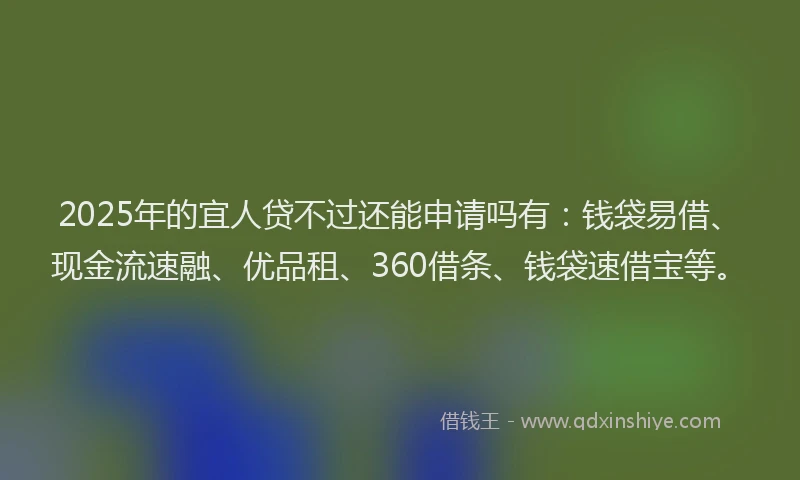 2025年的宜人贷不过还能申请吗有：钱袋易借、现金流速融、优品租、360借条、钱袋速借宝等。