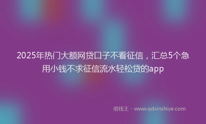 2025年热门大额网贷口子不看征信，汇总5个急用小钱不求征信流水轻松贷的app