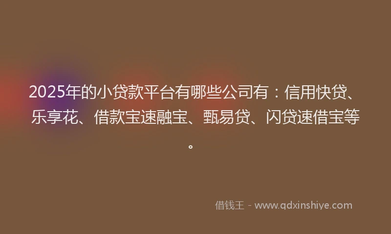 2025年的小贷款平台有哪些公司有：信用快贷、乐享花、借款宝速融宝、甄易贷、闪贷速借宝等。