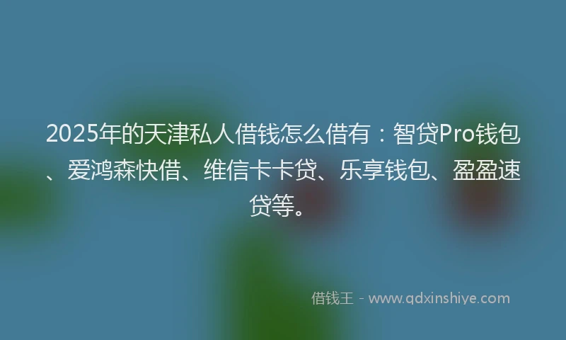 2025年的天津私人借钱怎么借有：智贷Pro钱包、爱鸿森快借、维信卡卡贷、乐享钱包、盈盈速贷等。