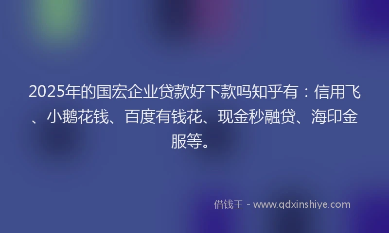 2025年的国宏企业贷款好下款吗知乎有：信用飞、小鹅花钱、百度有钱花、现金秒融贷、海印金服等。