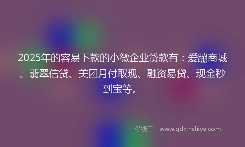 2025年的容易下款的小微企业贷款有：爱蹦商城、翡翠信贷、美团月付取现、融资易贷、现金秒到宝等。