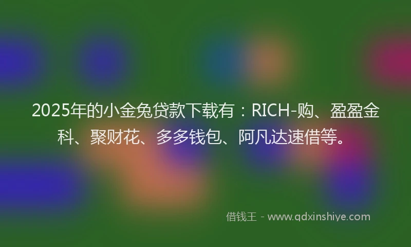 2025年的小金兔贷款下载有：RICH-购、盈盈金科、聚财花、多多钱包、阿凡达速借等。