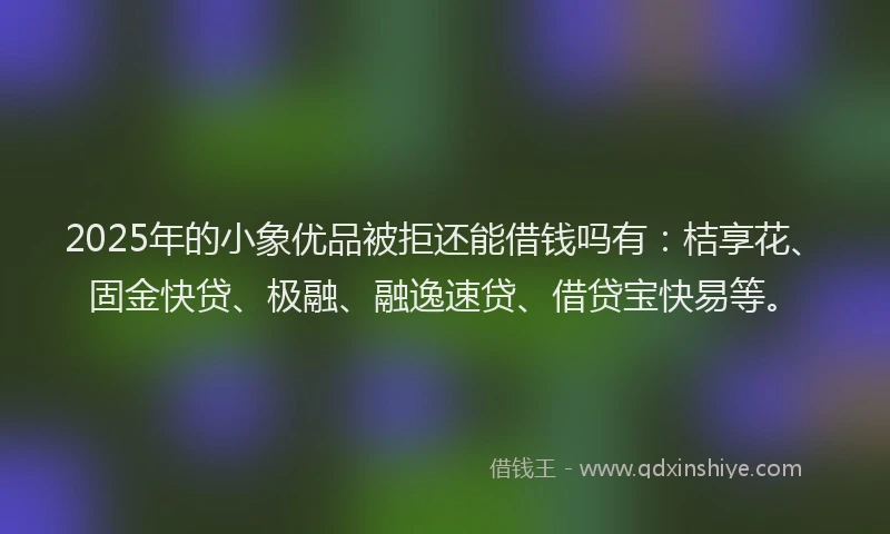 2025年的小象优品被拒还能借钱吗有：桔享花、固金快贷、极融、融逸速贷、借贷宝快易等。
