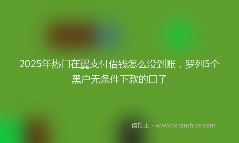 2025年热门在翼支付借钱怎么没到账，罗列5个黑户无条件下款的口子