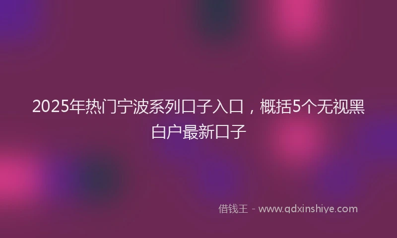 2025年热门宁波系列口子入口，概括5个无视黑白户最新口子