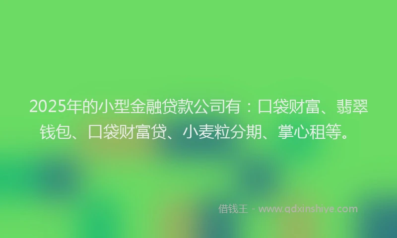 2025年的小型金融贷款公司有：口袋财富、翡翠钱包、口袋财富贷、小麦粒分期、掌心租等。