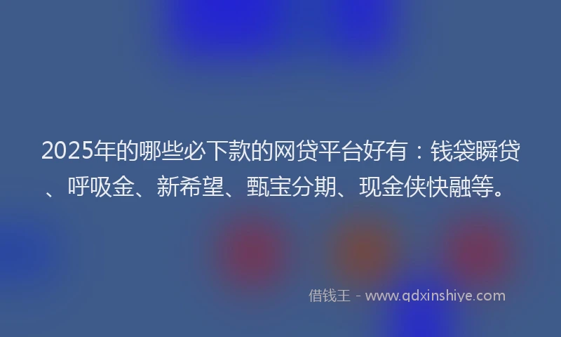 2025年的哪些必下款的网贷平台好有：钱袋瞬贷、呼吸金、新希望、甄宝分期、现金侠快融等。