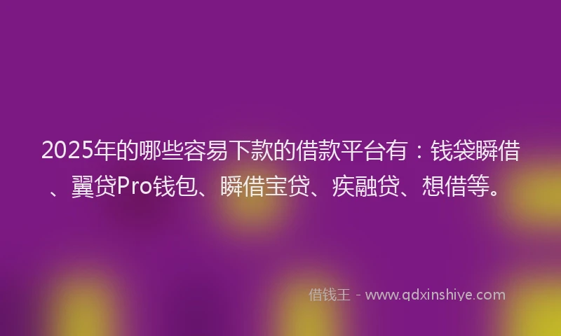 2025年的哪些容易下款的借款平台有：钱袋瞬借、翼贷Pro钱包、瞬借宝贷、疾融贷、想借等。