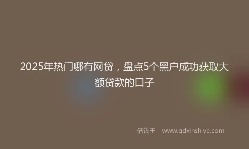 2025年热门哪有网贷，盘点5个黑户成功获取大额贷款的口子