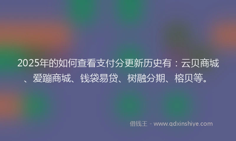 2025年的如何查看支付分更新历史有：云贝商城、爱蹦商城、钱袋易贷、树融分期、榕贝等。