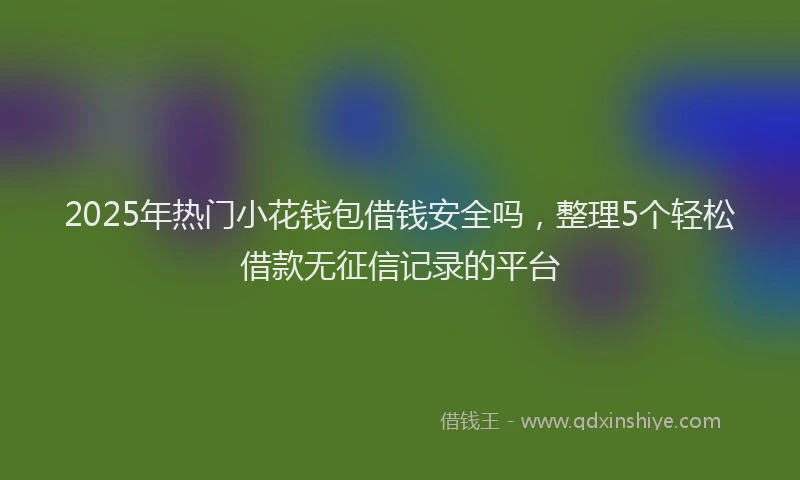 2025年热门小花钱包借钱安全吗，整理5个轻松借款无征信记录的平台