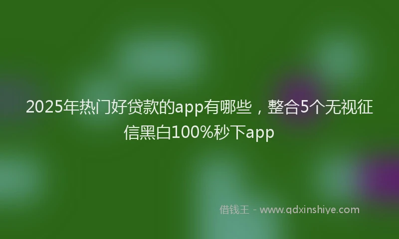2025年热门好贷款的app有哪些,整合5个无视征信黑白100%秒下app