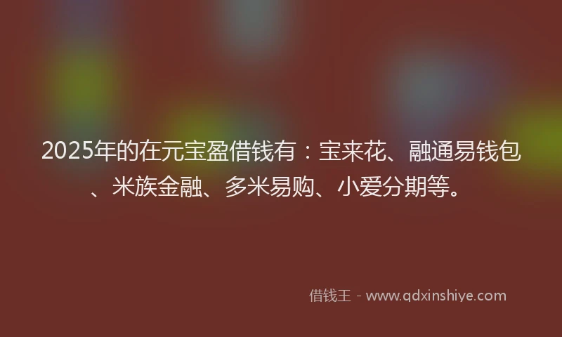 2025年的在元宝盈借钱有：宝来花、融通易钱包、米族金融、多米易购、小爱分期等。