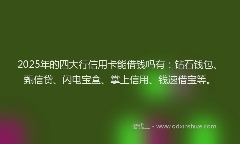 2025年的四大行信用卡能借钱吗有：钻石钱包、甄信贷、闪电宝盒、掌上信用、钱速借宝等。
