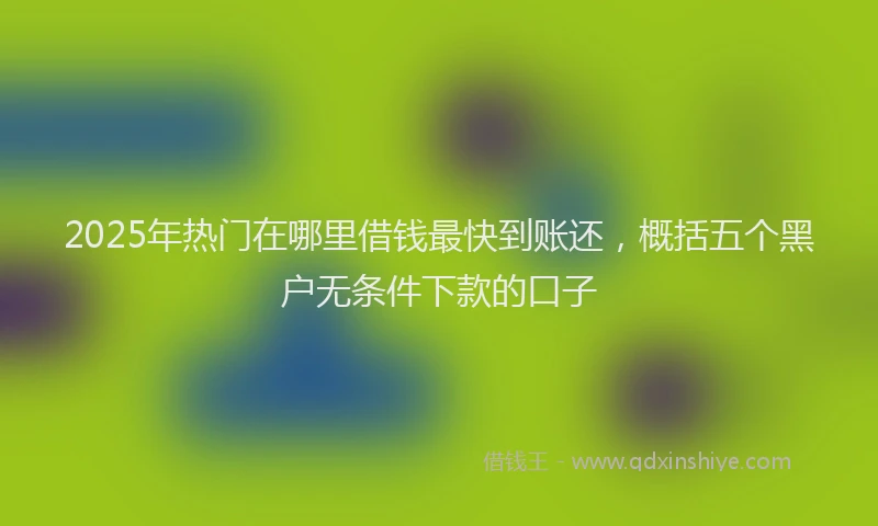 2025年热门在哪里借钱最快到账还，概括五个黑户无条件下款的口子