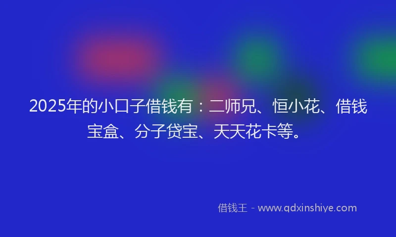 2025年的小口子借钱有：二师兄、恒小花、借钱宝盒、分子贷宝、天天花卡等。