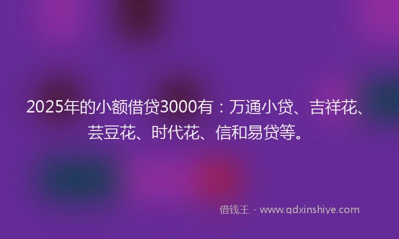 2025年的小额借贷3000有：万通小贷、吉祥花、芸豆花、时代花、信和易贷等。