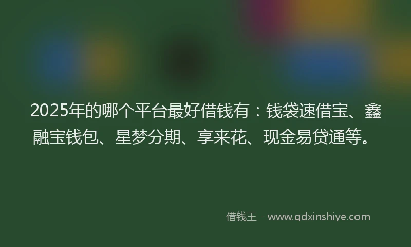 2025年的哪个平台最好借钱有：钱袋速借宝、鑫融宝钱包、星梦分期、享来花、现金易贷通等。