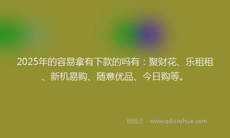 2025年的容易拿有下款的吗有：聚财花、乐租租、新机易购、随意优品、今日购等。