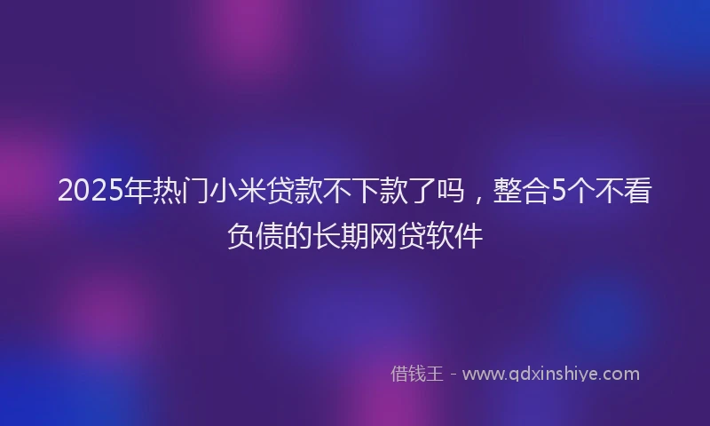 2025年热门小米贷款不下款了吗，整合5个不看负债的长期网贷软件