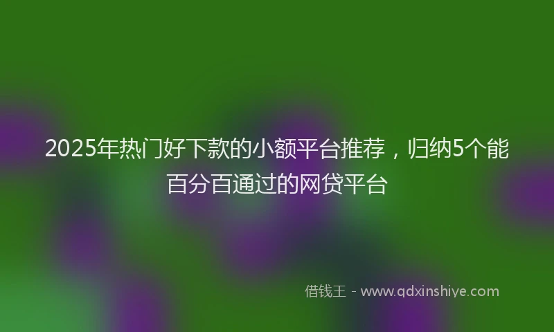2025年热门好下款的小额平台推荐，归纳5个能百分百通过的网贷平台