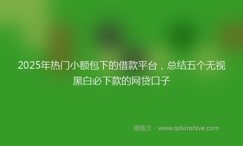 2025年热门小额包下的借款平台，总结五个无视黑白必下款的网贷口子