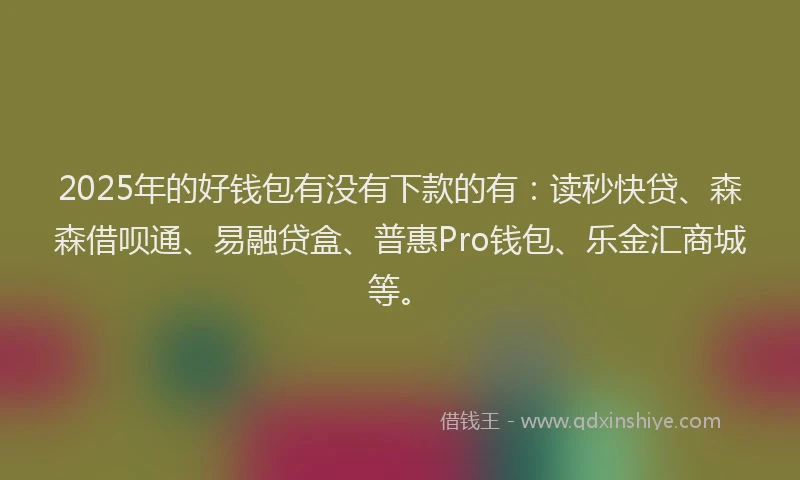 2025年的好钱包有没有下款的有：读秒快贷、森森借呗通、易融贷盒、普惠Pro钱包、乐金汇商城等。