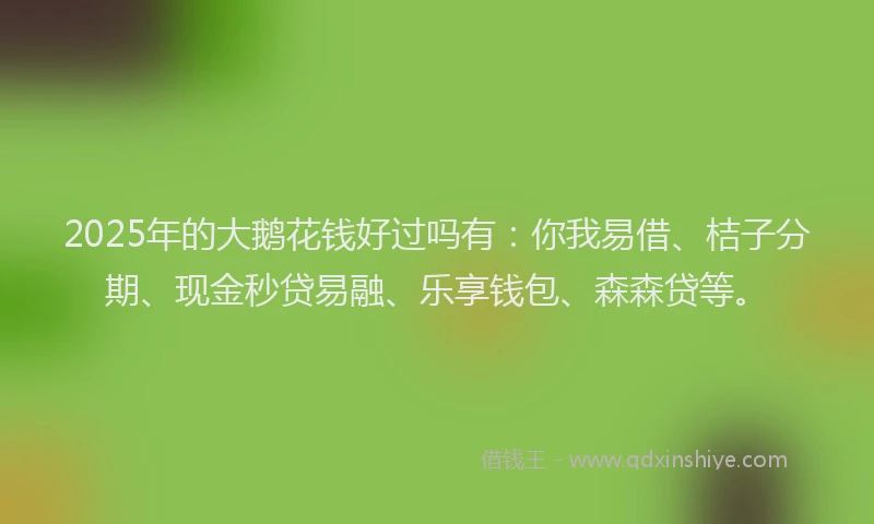 2025年的大鹅花钱好过吗有：你我易借、桔子分期、现金秒贷易融、乐享钱包、森森贷等。