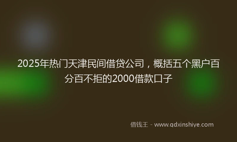 2025年热门天津民间借贷公司，概括五个黑户百分百不拒的2000借款口子
