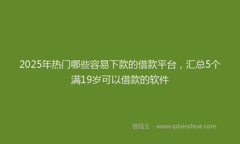 2025年热门哪些容易下款的借款平台，汇总5个满19岁可以借款的软件