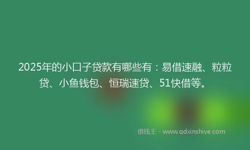 2025年的小口子贷款有哪些有：易借速融、粒粒贷、小鱼钱包、恒瑞速贷、51快借等。