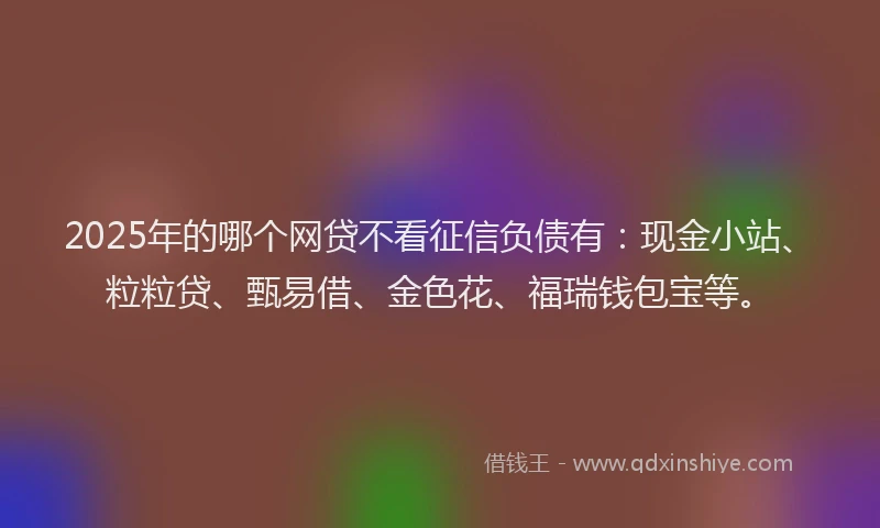 2025年的哪个网贷不看征信负债有：现金小站、粒粒贷、甄易借、金色花、福瑞钱包宝等。