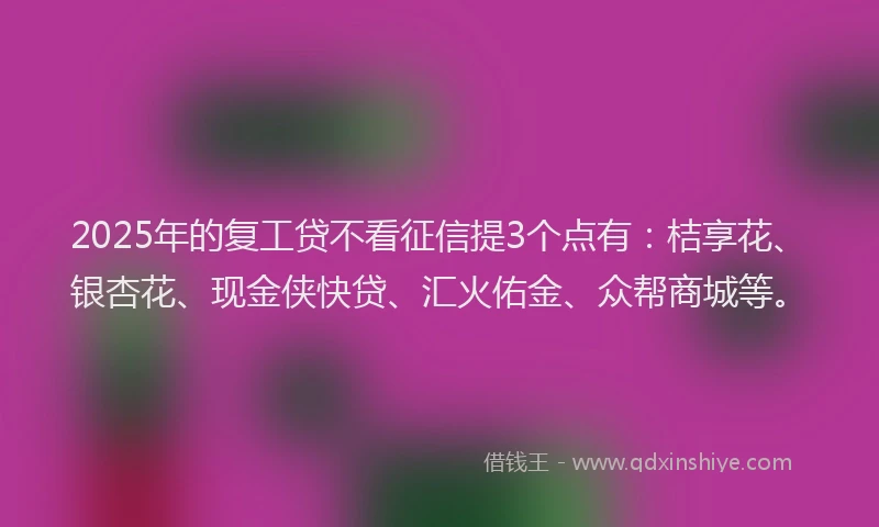 2025年的复工贷不看征信提3个点有：桔享花、银杏花、现金侠快贷、汇火佑金、众帮商城等。