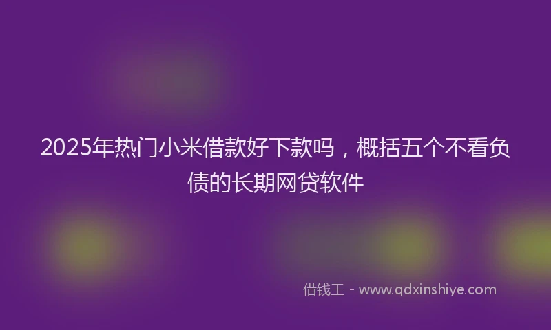 2025年热门小米借款好下款吗，概括五个不看负债的长期网贷软件