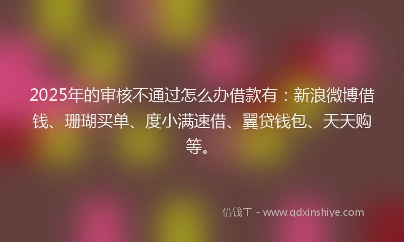 2025年的审核不通过怎么办借款有：新浪微博借钱、珊瑚买单、度小满速借、翼贷钱包、天天购等。