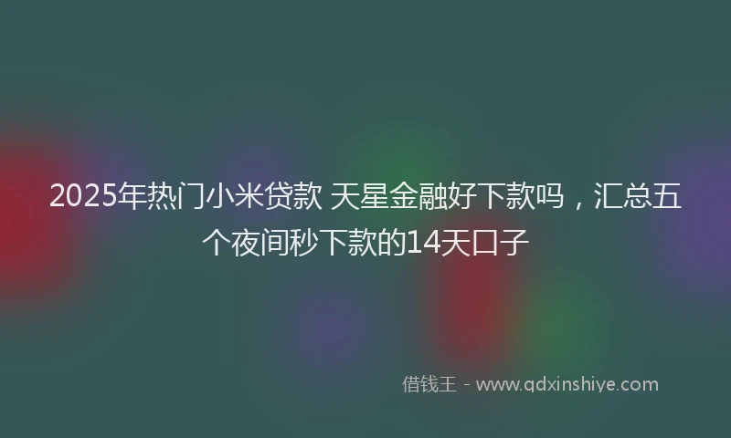 2025年热门小米贷款 天星金融好下款吗,汇总五个夜间秒下款的14天口子