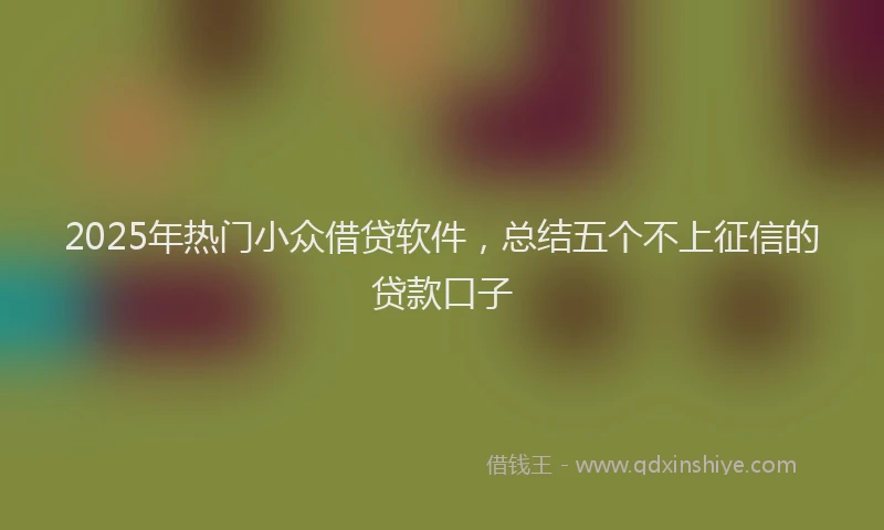 2025年热门小众借贷软件，总结五个不上征信的贷款口子