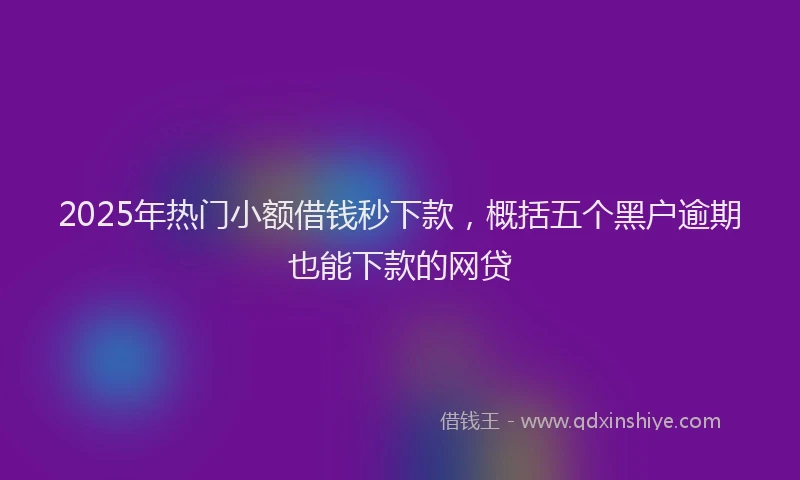 2025年热门小额借钱秒下款,概括五个黑户逾期也能下款的网贷
