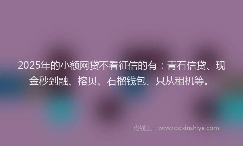 2025年的小额网贷不看征信的有：青石信贷、现金秒到融、榕贝、石榴钱包、只从租机等。