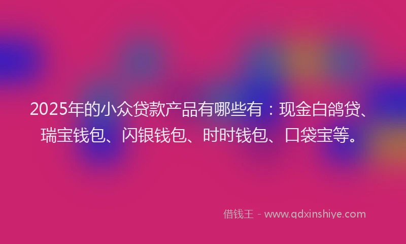 2025年的小众贷款产品有哪些有：现金白鸽贷、瑞宝钱包、闪银钱包、时时钱包、口袋宝等。