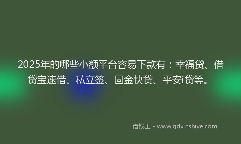 2025年的哪些小额平台容易下款有：幸福贷、借贷宝速借、私立签、固金快贷、平安i贷等。