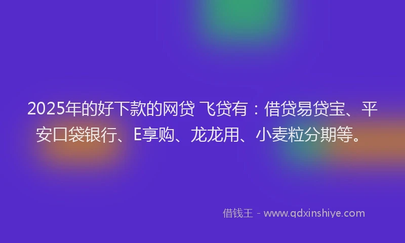 2025年的好下款的网贷 飞贷有：借贷易贷宝、平安口袋银行、E享购、龙龙用、小麦粒分期等。