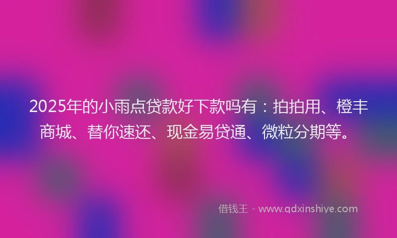 2025年的小雨点贷款好下款吗有：拍拍用、橙丰商城、替你速还、现金易贷通、微粒分期等。