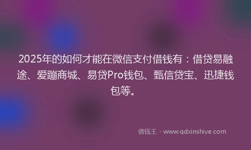 2025年的如何才能在微信支付借钱有：借贷易融途、爱蹦商城、易贷Pro钱包、甄信贷宝、迅捷钱包等。